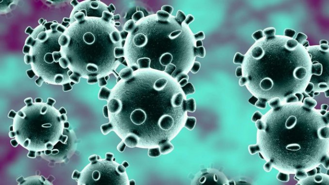 Tot ce trebuie sa stii despre coronavirus