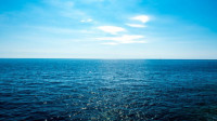 Oceane