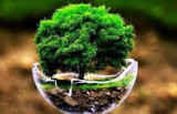Ecologie